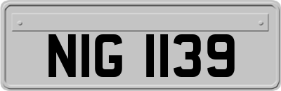 NIG1139