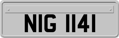 NIG1141