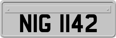 NIG1142
