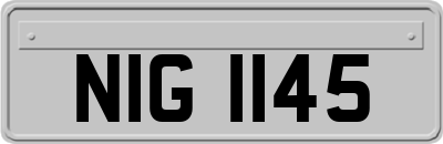 NIG1145