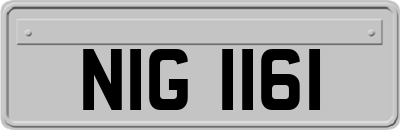 NIG1161