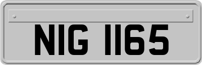 NIG1165