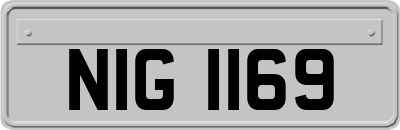 NIG1169