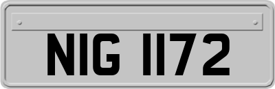NIG1172