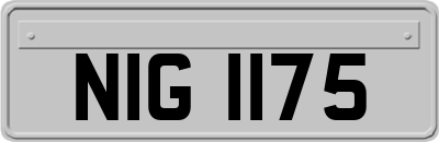 NIG1175