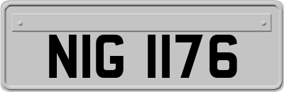 NIG1176