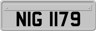 NIG1179