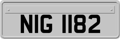 NIG1182