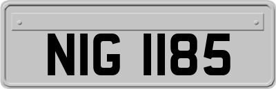 NIG1185