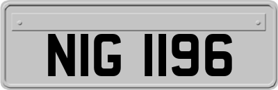 NIG1196