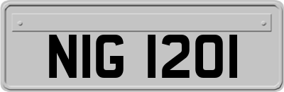 NIG1201