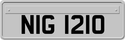 NIG1210