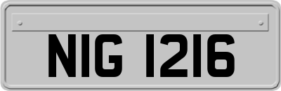 NIG1216