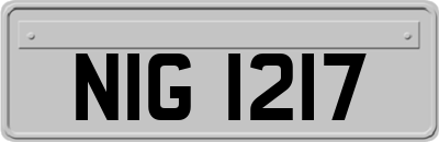 NIG1217