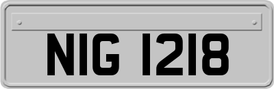 NIG1218