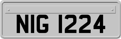 NIG1224