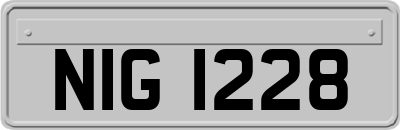 NIG1228