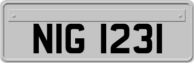 NIG1231