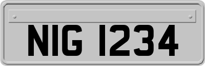 NIG1234