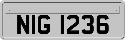 NIG1236