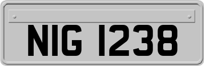 NIG1238