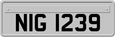 NIG1239