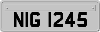 NIG1245