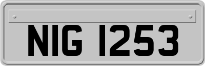 NIG1253
