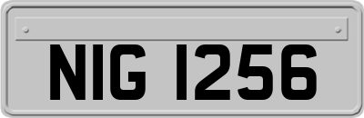 NIG1256