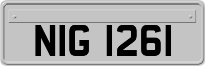 NIG1261