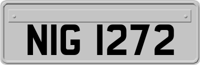 NIG1272