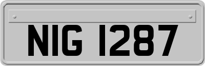 NIG1287