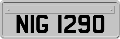 NIG1290