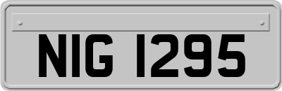 NIG1295