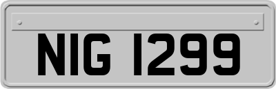 NIG1299