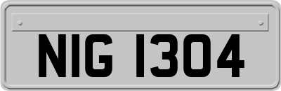 NIG1304