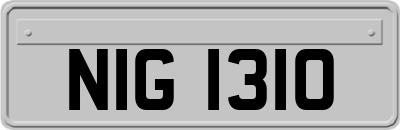 NIG1310