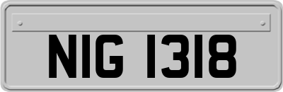 NIG1318
