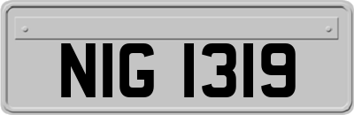 NIG1319