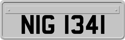 NIG1341