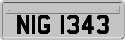 NIG1343