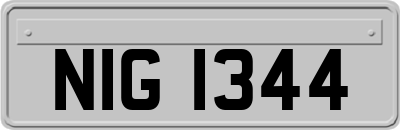 NIG1344