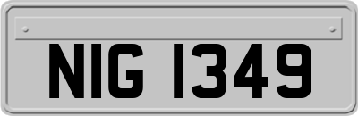 NIG1349