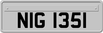 NIG1351