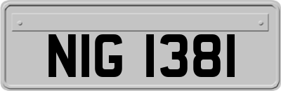 NIG1381