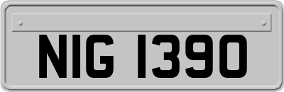 NIG1390