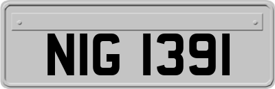 NIG1391