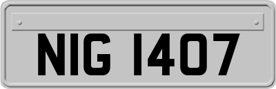 NIG1407
