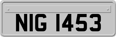 NIG1453