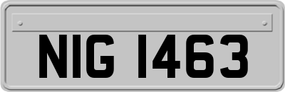 NIG1463